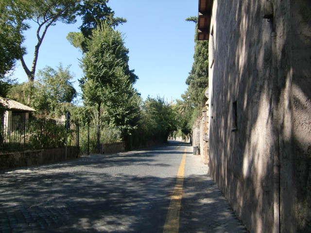 e0205256_817468.jpg