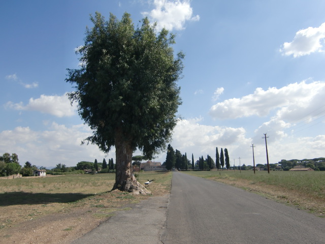 e0205256_8245178.jpg