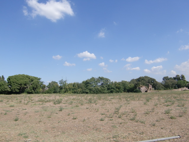 e0205256_8255618.jpg