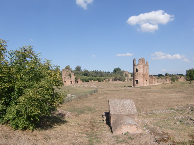 e0205256_835525.jpg