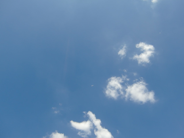 e0205256_8414152.jpg