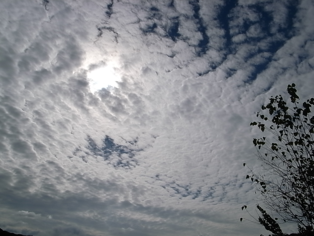 b0170369_192395.jpg