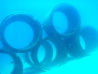 c0039073_2223137.jpg