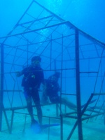 c0039073_22241340.jpg