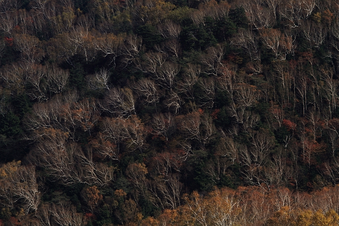 f0115475_1203741.jpg