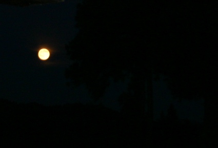 c0057781_0583925.jpg