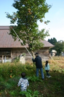 c0057781_1862.jpg