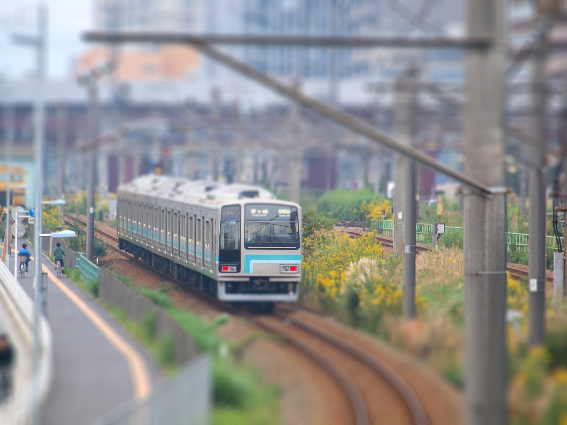 c0000685_20453022.jpg