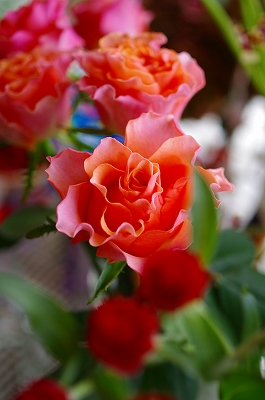 c0207890_048292.jpg