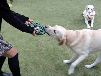 c0028792_2012480.jpg