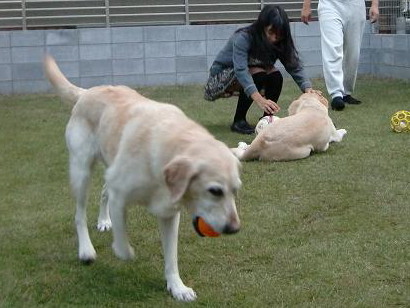 c0028792_20131077.jpg