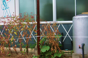 d0133693_22505656.jpg