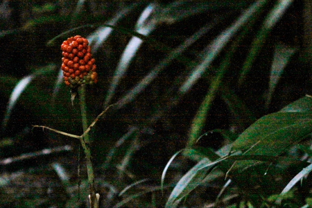 d0133693_2251189.jpg