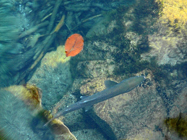 e0202393_17344574.jpg