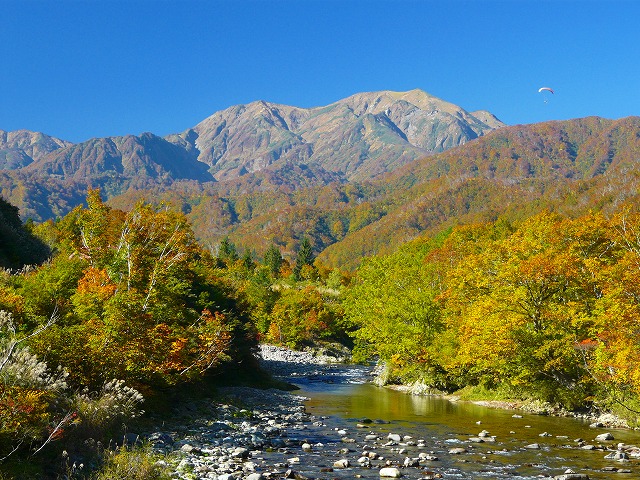 e0202393_173459.jpg