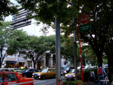 f0137694_9125655.jpg