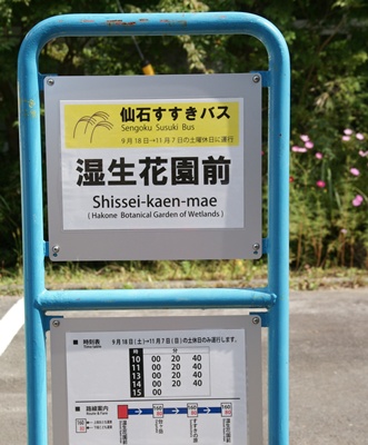 b0145398_2329265.jpg