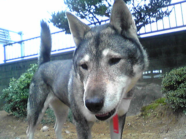 f0079202_19495078.jpg