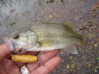 c0023804_16443660.jpg