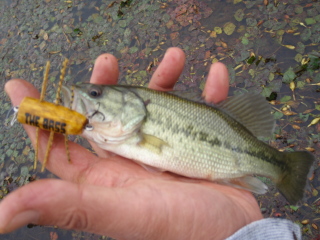 c0023804_16445254.jpg