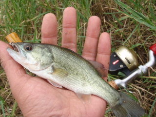 c0023804_1645949.jpg