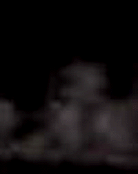 e0103408_2081714.gif