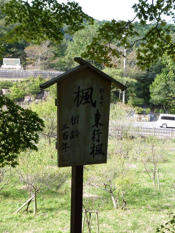 b0023911_212923.jpg