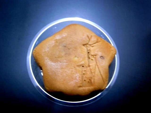 d0168411_10292231.jpg