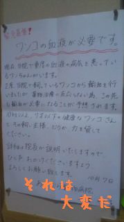 e0200812_2136324.jpg