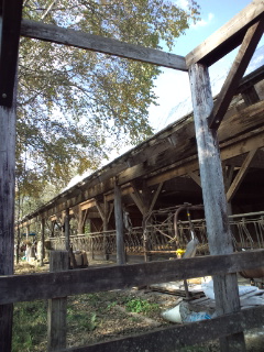 d0169613_22182483.jpg