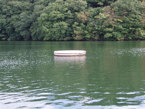 b0121015_20121033.jpg