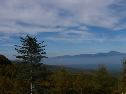 d0183417_23123279.jpg