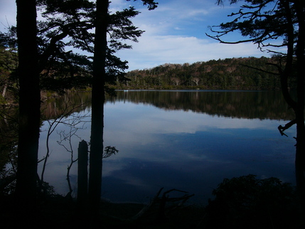 d0183417_2356506.jpg