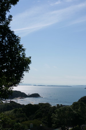 f0097620_2339425.jpg