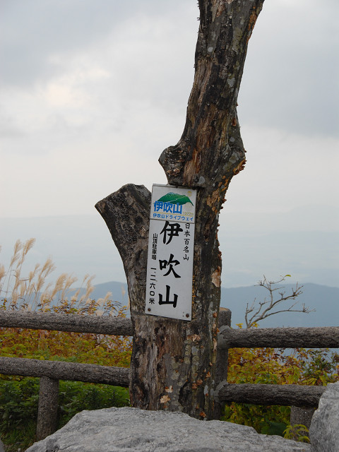 d0073324_172061.jpg