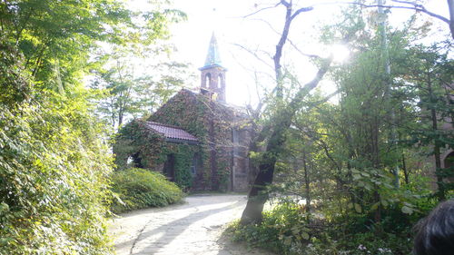f0060424_034581.jpg