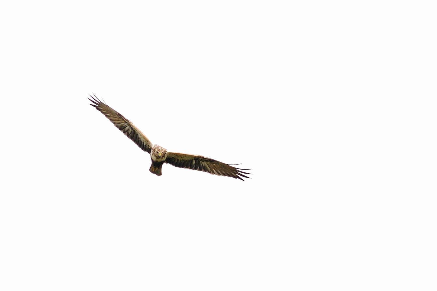 a0165725_19525511.jpg