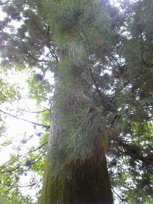 f0000425_20463229.jpg