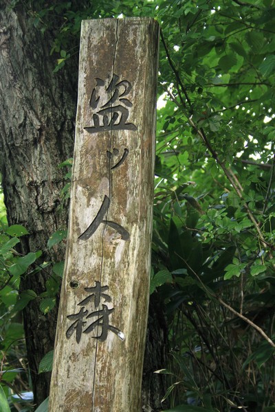 c0104227_16134197.jpg