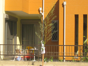 e0013927_1394088.jpg