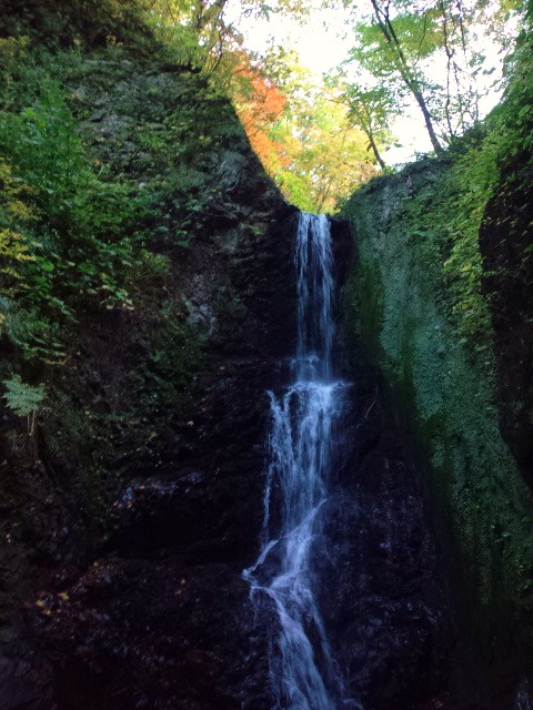 e0016828_109124.jpg