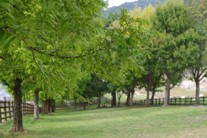 b0134829_14295993.jpg