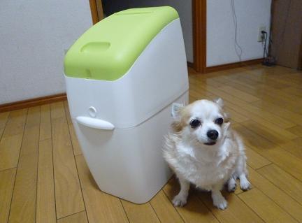 b0138430_20105795.jpg