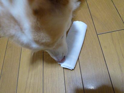 b0138430_2064651.jpg
