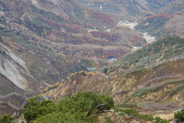a0119132_14222510.jpg