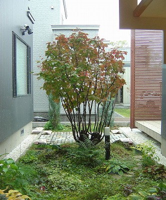 f0205733_14431249.jpg