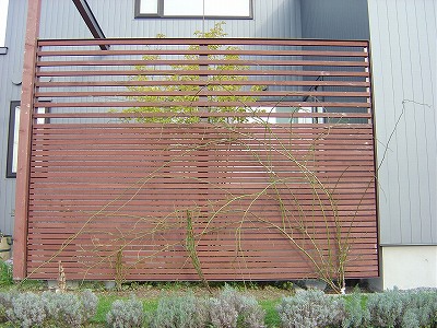 f0205733_1645416.jpg