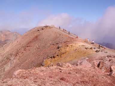 d0093936_1452697.jpg