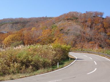 d0093936_157047.jpg