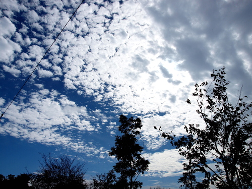 f0020837_23395361.jpg